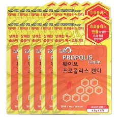 해호 웨이브 프로폴리스캔디 8정 레몬 10개, 36g