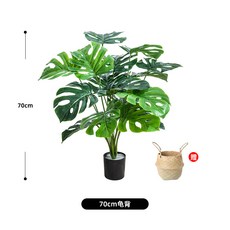 쉐프렐라