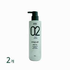 아모스 녹차실감 샴푸 중건성용 500g 촉촉한타입 1+1 (C), 2개