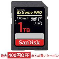 샌디스크익스트림프로1tb