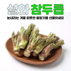 (바로배송) 국내산 참두릅 두릅촉성재배 설화참두릅 (친환경인증) 1팩 40주(350g ~ 400g), 350g, 1개