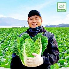 [GAP 인증] 땅끝사랑 해남절임배추 {12월02일 화요일도착}, 20kg, 1개