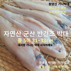 [산지직송] 자연산 군산박대 대서양 기니 원양산 반건조 박대 5미 중 31~33cm, 1세트