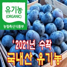 햇님농원 국산 유기농인증 블루베리 생과 대과 최상품 농장직송 선물용, 1개, 1KG