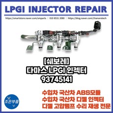 lpi인젝터