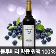 블루베리쥬스네오보감