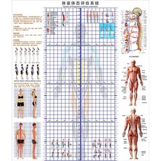 자세평가블라인드