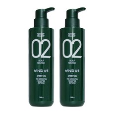 아모스 프로페셔널 녹차실감 샴푸 리프레시 500g 지성, 2개, 500ml