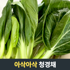 [아삭아삭] 청경채 국산청경채 국내산청경채 풍부한미네랄효능 항산화작용 청경채볶음 청경채나물, 1개, 10kg