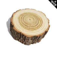 썬양의자연주의