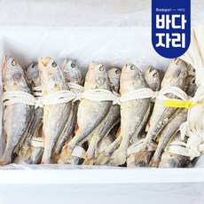 바다자리 영광 법성...