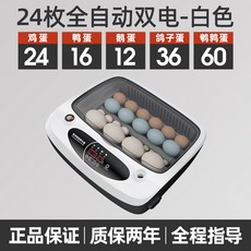 e8de721fb688fd87c28e2f47cb4c1844ff6cc00ebe6aa42de89d5d071eb1.jpg