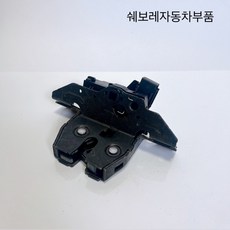 더넥스트스파크 뉴스파크 트렁크록 P13524683, 1개