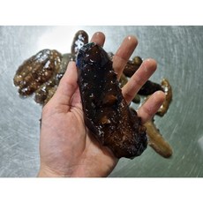 인천 연안 해삼!, 1개, 500g, 1팩