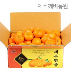 //상품명