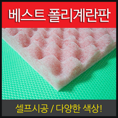 로보카폴리에그