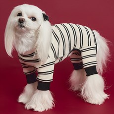 Dog-i Twin Dangar 一體機, 象牙白