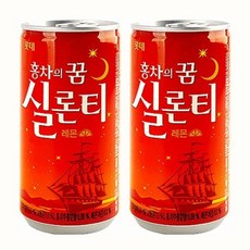 롯데 실론티 제로 500ml 광주