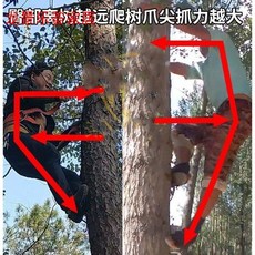 fd0681dea35e82bf1500f2b0f548cd3f395f2e9fba99fa624ecde4de6aeb.jpg