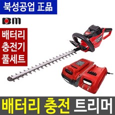 울프가르텐전기전정기