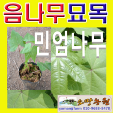 1a127d77e766faff38aa5baea18ffe52695f792cc24a88b0f2fcd7950a21.png