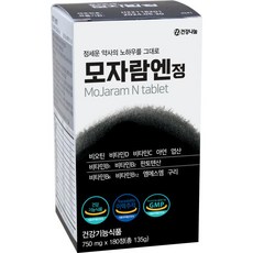 비오틴 MSM고함량모자람엔정 135g, 180정, 1개