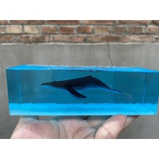 대시보드워터볼