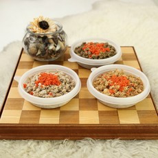 코코밥 연어보슬이 1k(10통) 소프트사료, 120g, 10개, 연어