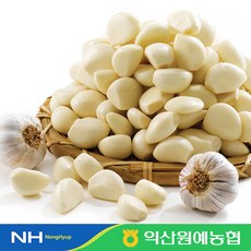 익산원예농협수박