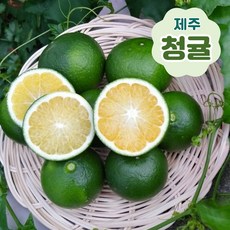 제주 청귤 풋귤 하귤 녹색귤 청귤청용 특품 혼합 3 5 10 15 키로, 특품 5kg, 1박스