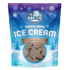 Arctic Farms 동결건조 아이스크림 녹지않는 우주 아이스크림, Chocolate Chocolate Chip_1봉, 4개, 28g