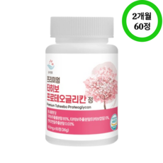 순수한줌 타히보 프로테오 글리칸 클리칸 소연골 프리미엄 정 60정 2개월, 1통 (2개월분 60정)
