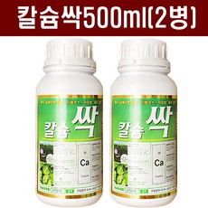 땅부자