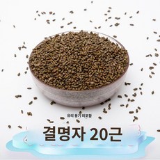 컬러 모래 어린이 놀이 장난감 해변 수영장 계수나무 아기 놀이터 실내 세라믹 무독성, 15 고품질 계수나무 씨앗 10kg - 아기놀이터