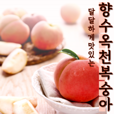 옥천복숭아달인