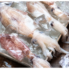 회로도 먹어도 통찜으로 먹어도 맛있는 싱싱한 호래기 500g 1kg, 소-1kg(160~180미)