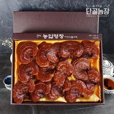 류충현버섯명장 편각영지버섯 고급선물세트 500g, 1개