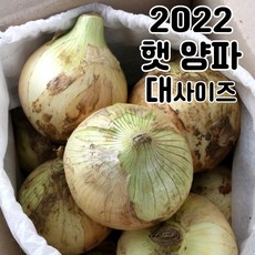 유기농양파5kg