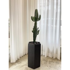 청하각