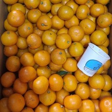 4559a3b8187061b2955486dd431ca63634e8ae661d363e75dd4e86751c0e.jpg