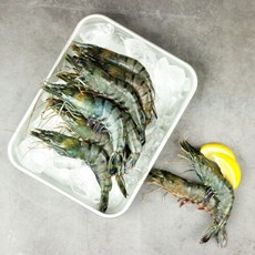 홍다리얼룩새우