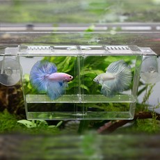 추천 미니 구피 부화통 치어 열대어 격리통 어항 수족관 수족관부화통 열대어부화통 쿠피부화통 미니부화통 치어부화통 치어통 산란통 치어받이 가정용 업소용 꾸미기 용품 필수, 미니 구피 부화통 12.5x7x7cm, 1개