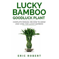 LUCKY BAMBOO GOODLUCK PLANT : 럭키 대나무를 키우고 관리하는 방법에 대한 완전한 매뉴얼, 단일옵션
