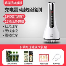 핸디 진동 전동 마이크로펄스 두피 경락 안마기 마사지기, F