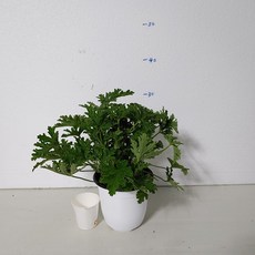 dbb5bce0521b4c43b0160c9b18051b2b859df6ce02cb10993191a009cf25.jpg