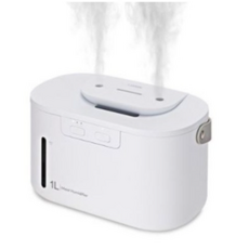 루오딘모이스트가습기