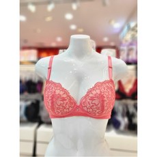 비비안소노르골지