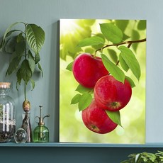 아란아트 사과그림 풍수 인테리어 캔버스 액자 주방 거실, 17.청량한 붉은사과