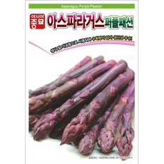 아시아종묘 채소씨앗 - 자색 아스파라거스씨앗-퍼플패션(40립x3), 3개