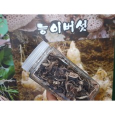 능이버섯(국내산 자연산 건조)100g, 1, 1박스